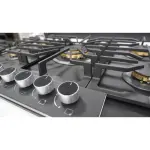 ESTUFA EMPOTRABLE DRIJA DE 76CM A GAS ITALIA76 CON VIDRIO TEMPLADO MATE DE 5 QUEMADORES